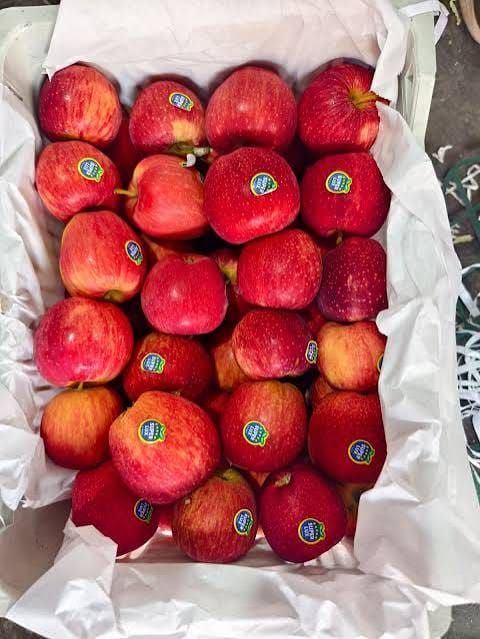 Apple imported into India by Madiha Overseas
