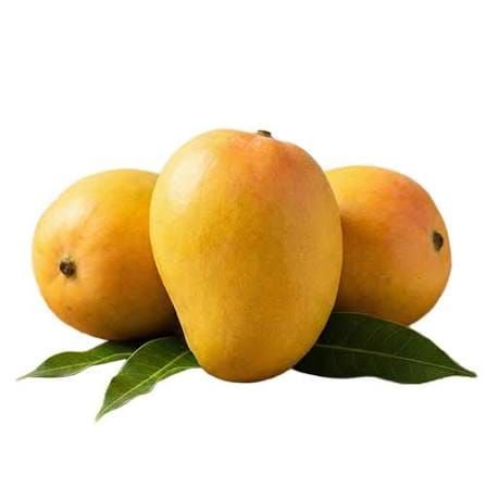 Mango exported from India by Madiha Overseas