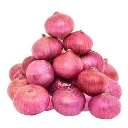 Onion exported from India by Madiha Overseas